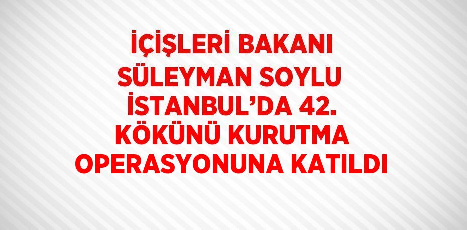 İÇİŞLERİ BAKANI SÜLEYMAN SOYLU İSTANBUL’DA 42. KÖKÜNÜ KURUTMA OPERASYONUNA KATILDI