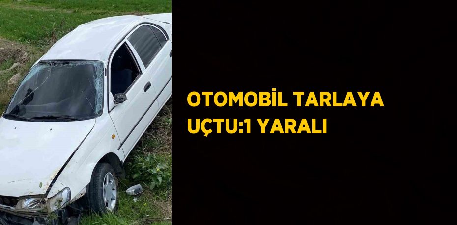 OTOMOBİL TARLAYA UÇTU:1 YARALI