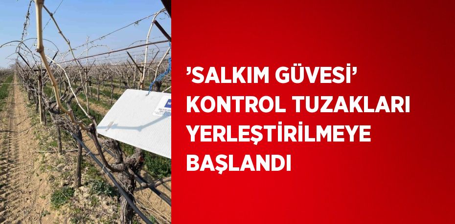 ’SALKIM GÜVESİ’ KONTROL TUZAKLARI YERLEŞTİRİLMEYE BAŞLANDI