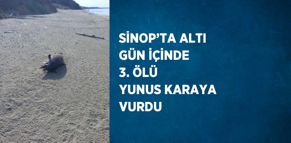 SİNOP’TA ALTI GÜN İÇİNDE 3. ÖLÜ YUNUS KARAYA VURDU