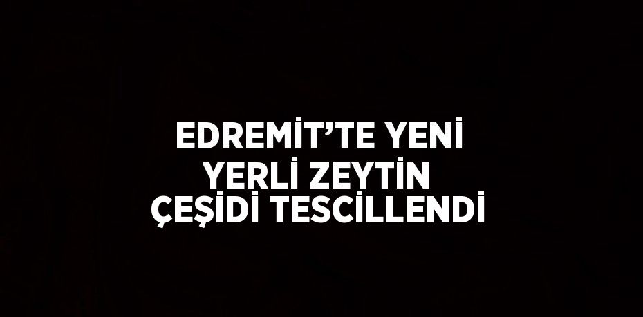 EDREMİT’TE YENİ YERLİ ZEYTİN ÇEŞİDİ TESCİLLENDİ