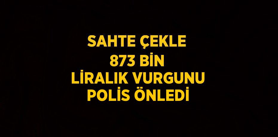 SAHTE ÇEKLE 873 BİN LİRALIK VURGUNU POLİS ÖNLEDİ