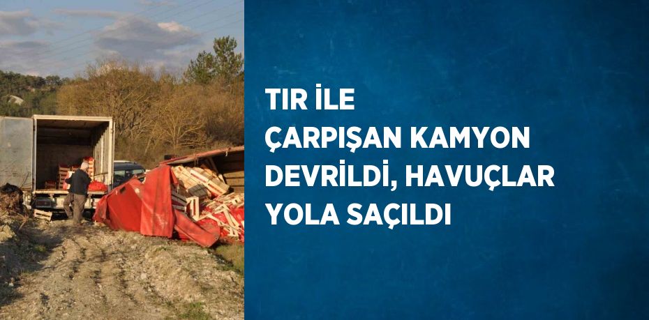 TIR İLE ÇARPIŞAN KAMYON DEVRİLDİ, HAVUÇLAR YOLA SAÇILDI