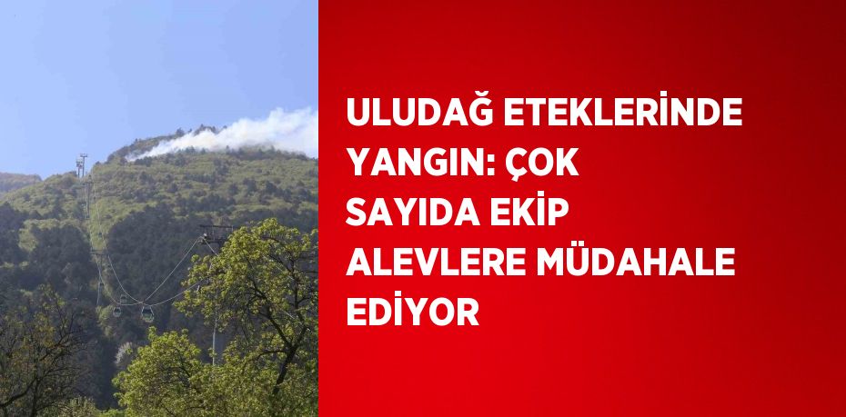 ULUDAĞ ETEKLERİNDE YANGIN: ÇOK SAYIDA EKİP ALEVLERE MÜDAHALE EDİYOR