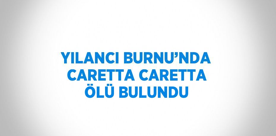 YILANCI BURNU’NDA CARETTA CARETTA ÖLÜ BULUNDU