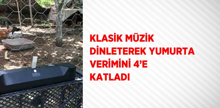 KLASİK MÜZİK DİNLETEREK YUMURTA VERİMİNİ 4’E KATLADI