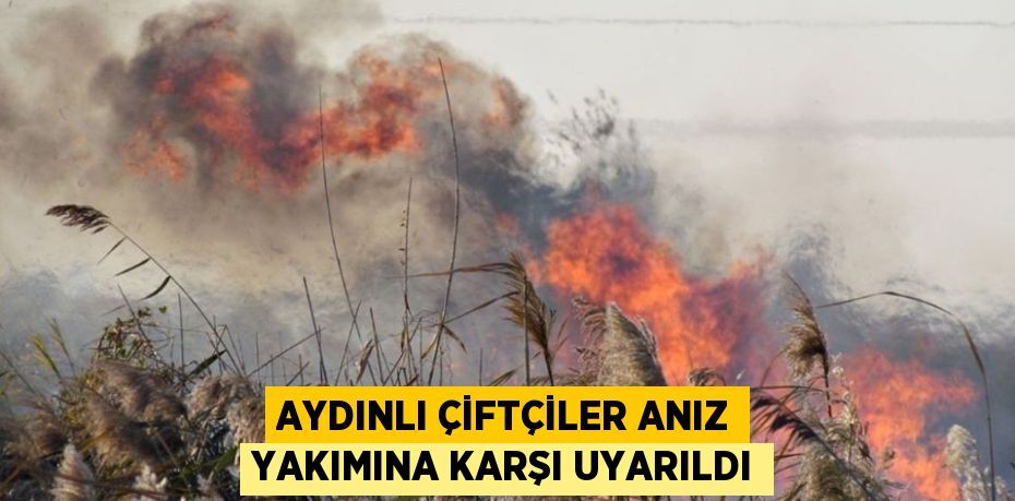 AYDINLI ÇİFTÇİLER ANIZ YAKIMINA KARŞI UYARILDI