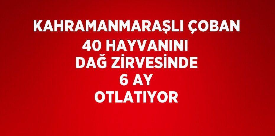 KAHRAMANMARAŞLI ÇOBAN 40 HAYVANINI DAĞ ZİRVESİNDE 6 AY OTLATIYOR