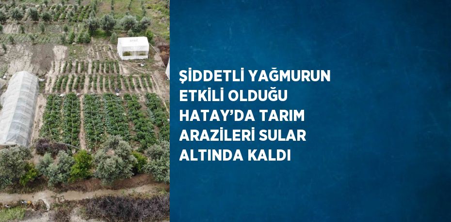 ŞİDDETLİ YAĞMURUN ETKİLİ OLDUĞU HATAY’DA TARIM ARAZİLERİ SULAR ALTINDA KALDI