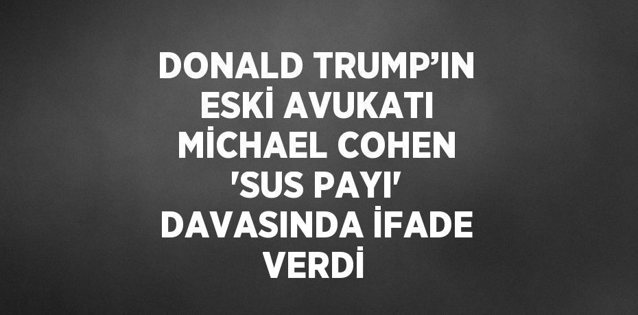 DONALD TRUMP’IN ESKİ AVUKATI MİCHAEL COHEN 'SUS PAYI' DAVASINDA İFADE VERDİ