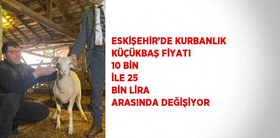 ESKİŞEHİR’DE KURBANLIK KÜÇÜKBAŞ FİYATI 10 BİN İLE 25 BİN LİRA ARASINDA DEĞİŞİYOR