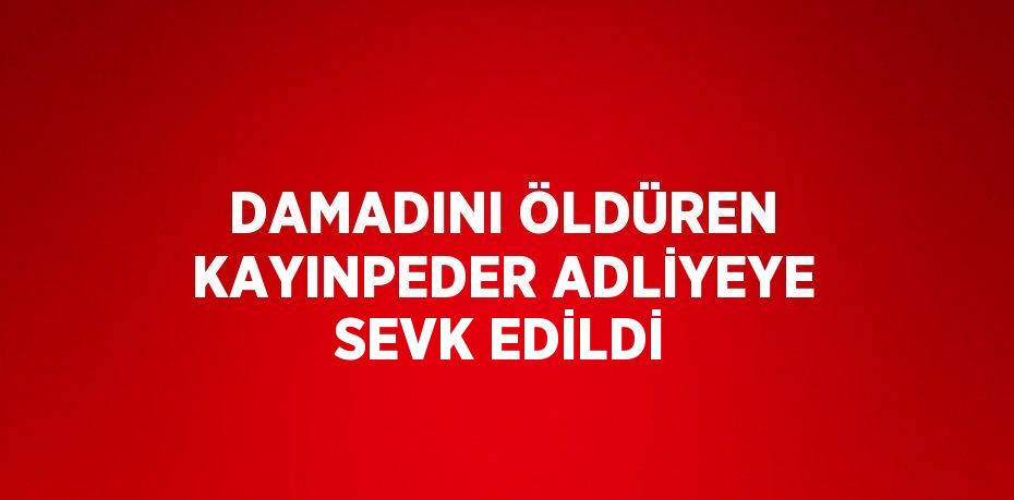 DAMADINI ÖLDÜREN KAYINPEDER ADLİYEYE SEVK EDİLDİ