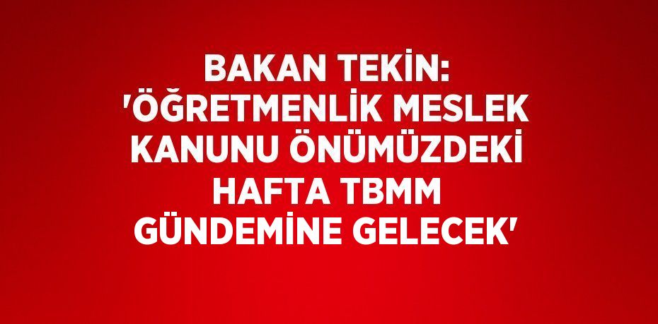 BAKAN TEKİN: 'ÖĞRETMENLİK MESLEK KANUNU ÖNÜMÜZDEKİ HAFTA TBMM GÜNDEMİNE GELECEK'