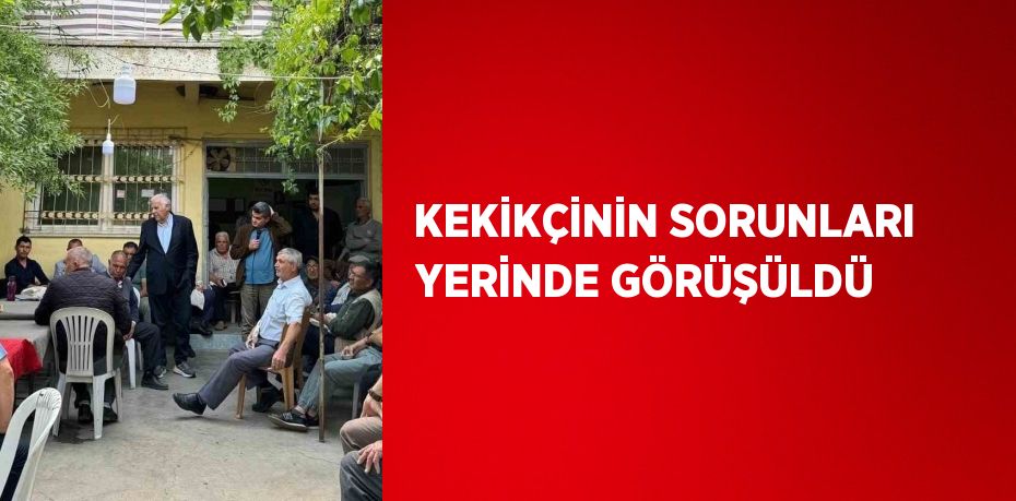 KEKİKÇİNİN SORUNLARI YERİNDE GÖRÜŞÜLDÜ