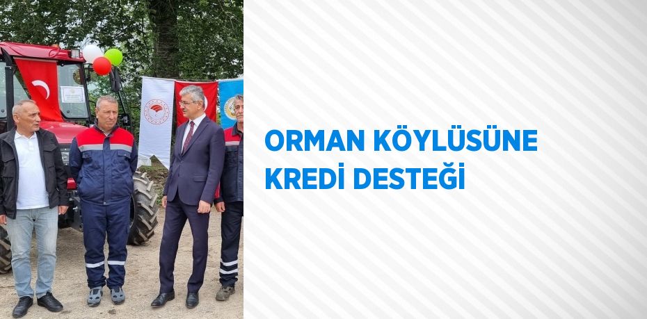 ORMAN KÖYLÜSÜNE KREDİ DESTEĞİ