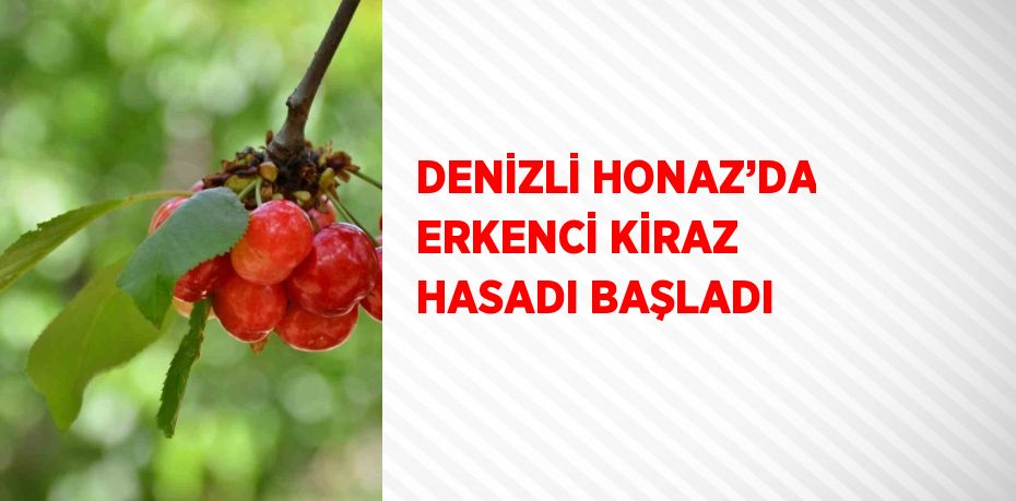 DENİZLİ HONAZ’DA ERKENCİ KİRAZ HASADI BAŞLADI