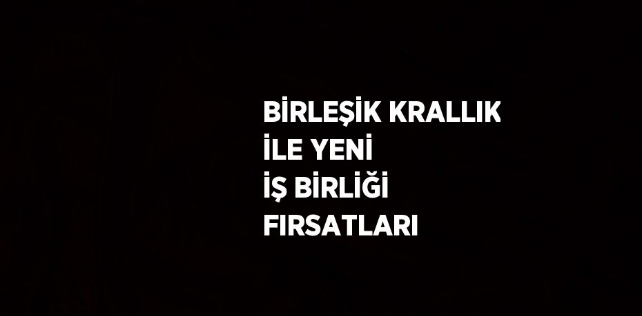 BİRLEŞİK KRALLIK İLE YENİ İŞ BİRLİĞİ FIRSATLARI
