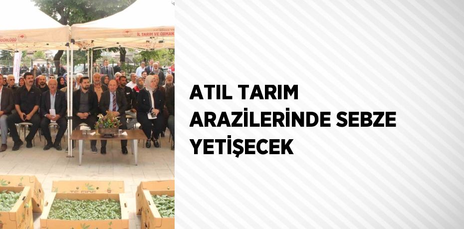 ATIL TARIM ARAZİLERİNDE SEBZE YETİŞECEK