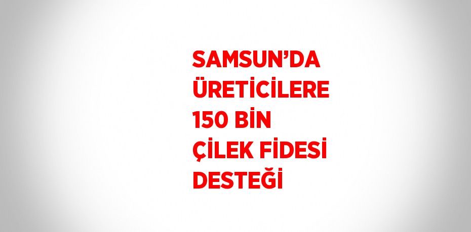 SAMSUN’DA ÜRETİCİLERE 150 BİN ÇİLEK FİDESİ DESTEĞİ