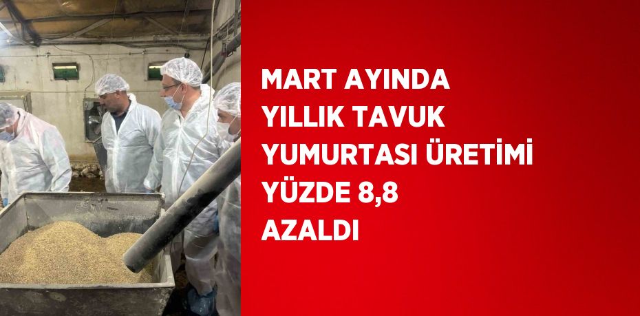 MART AYINDA YILLIK TAVUK YUMURTASI ÜRETİMİ YÜZDE 8,8 AZALDI