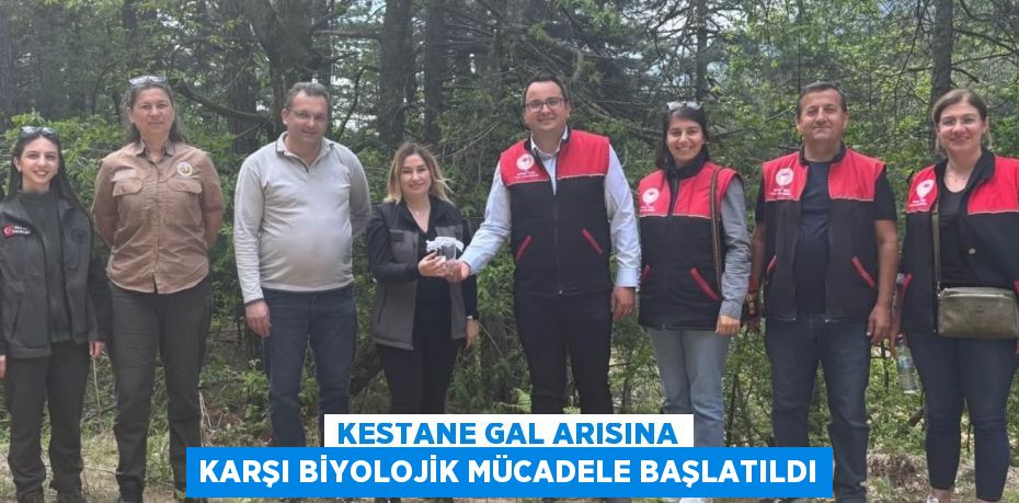 KESTANE GAL ARISINA KARŞI BİYOLOJİK MÜCADELE BAŞLATILDI