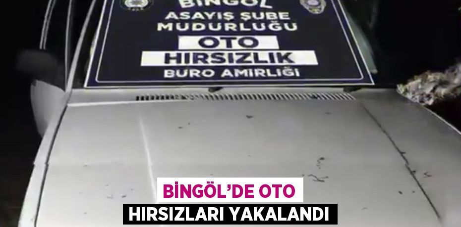 BİNGÖL’DE OTO HIRSIZLARI YAKALANDI