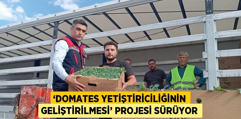 ‘DOMATES YETİŞTİRİCİLİĞİNİN GELİŞTİRİLMESİ’ PROJESİ SÜRÜYOR