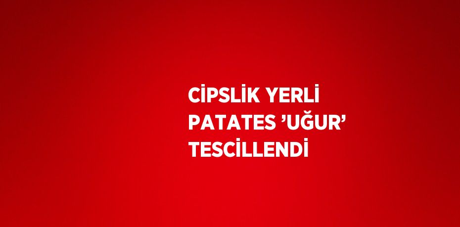 CİPSLİK YERLİ PATATES ’UĞUR’ TESCİLLENDİ