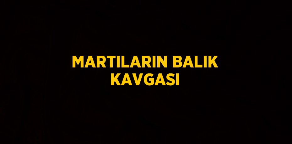 MARTILARIN BALIK KAVGASI