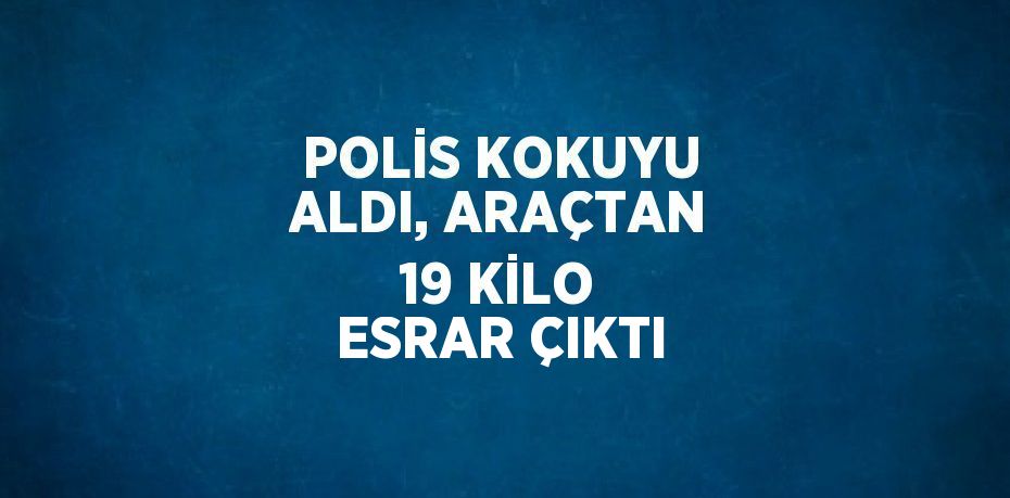 POLİS KOKUYU ALDI, ARAÇTAN 19 KİLO ESRAR ÇIKTI