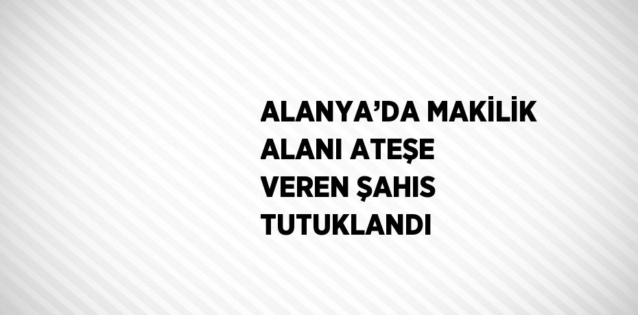 ALANYA’DA MAKİLİK ALANI ATEŞE VEREN ŞAHIS TUTUKLANDI