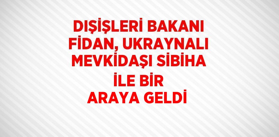 DIŞİŞLERİ BAKANI FİDAN, UKRAYNALI MEVKİDAŞI SİBİHA İLE BİR ARAYA GELDİ