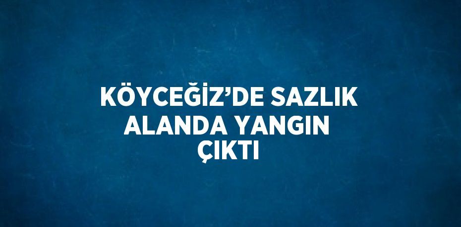 KÖYCEĞİZ’DE SAZLIK ALANDA YANGIN ÇIKTI