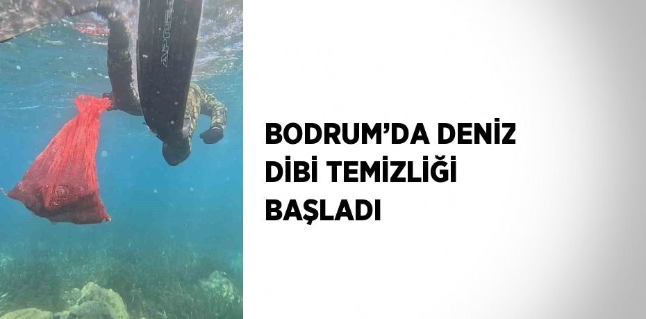 BODRUM’DA DENİZ DİBİ TEMİZLİĞİ BAŞLADI