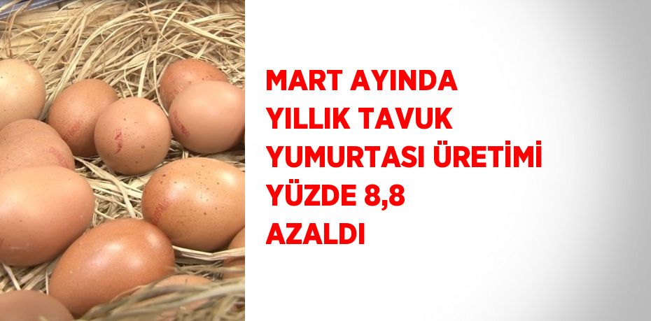MART AYINDA YILLIK TAVUK YUMURTASI ÜRETİMİ YÜZDE 8,8 AZALDI