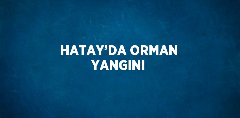 HATAY’DA ORMAN YANGINI