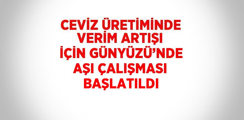 CEVİZ ÜRETİMİNDE VERİM ARTIŞI İÇİN GÜNYÜZÜ’NDE AŞI ÇALIŞMASI BAŞLATILDI