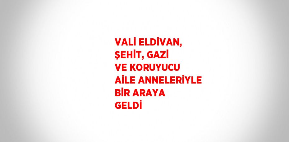 VALİ ELDİVAN, ŞEHİT, GAZİ VE KORUYUCU AİLE ANNELERİYLE BİR ARAYA GELDİ