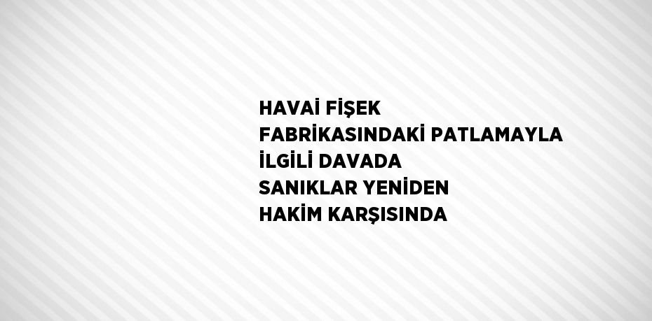 HAVAİ FİŞEK FABRİKASINDAKİ PATLAMAYLA İLGİLİ DAVADA SANIKLAR YENİDEN HAKİM KARŞISINDA