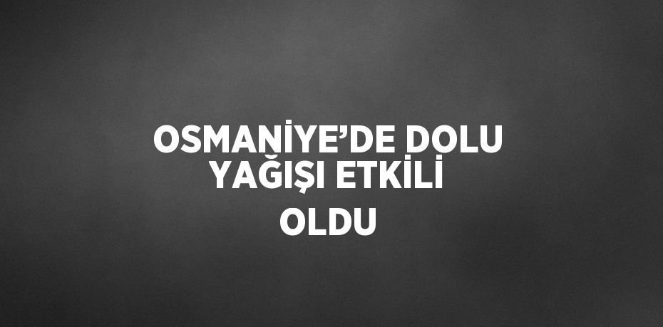 OSMANİYE’DE DOLU YAĞIŞI ETKİLİ OLDU