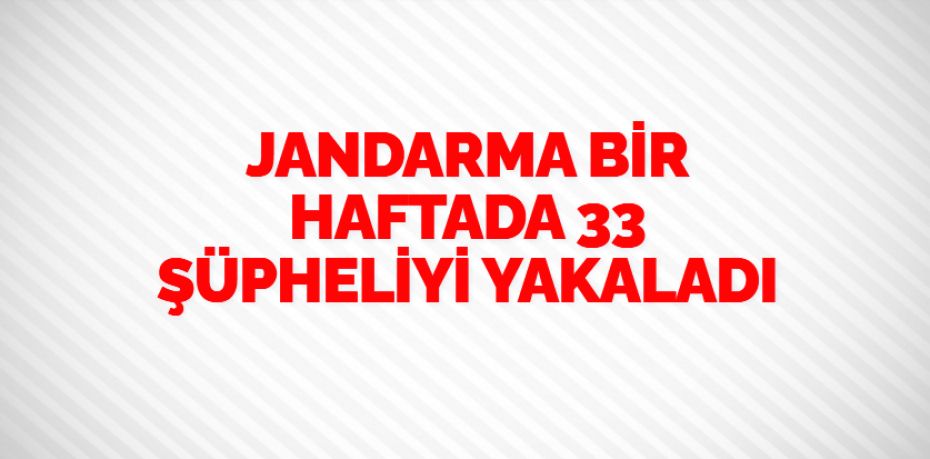 JANDARMA BİR HAFTADA  33 ŞÜPHELİYİ YAKALADI