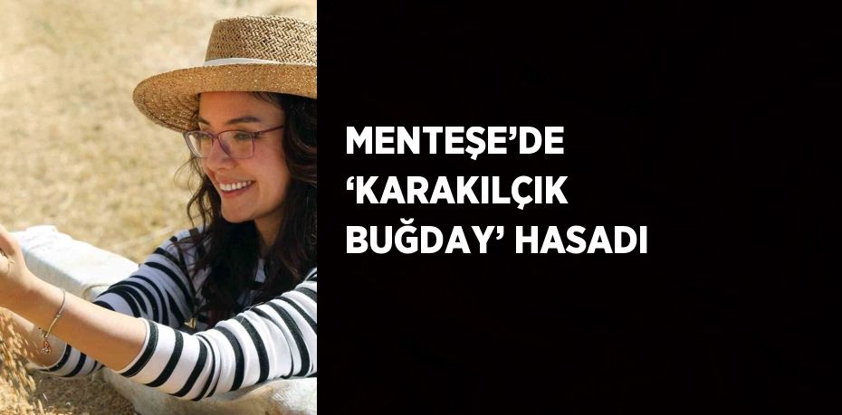 MENTEŞE’DE ‘KARAKILÇIK BUĞDAY’ HASADI