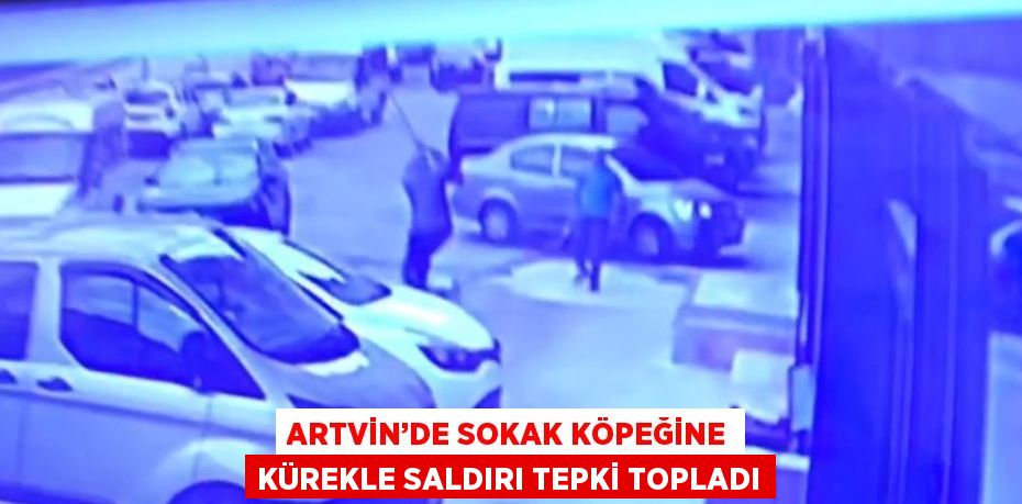 ARTVİN’DE SOKAK KÖPEĞİNE KÜREKLE SALDIRI TEPKİ TOPLADI