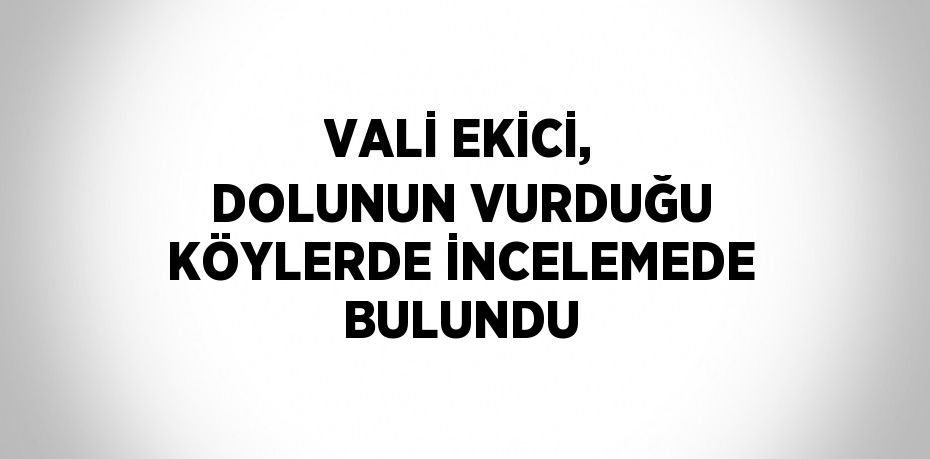 VALİ EKİCİ, DOLUNUN VURDUĞU KÖYLERDE İNCELEMEDE BULUNDU