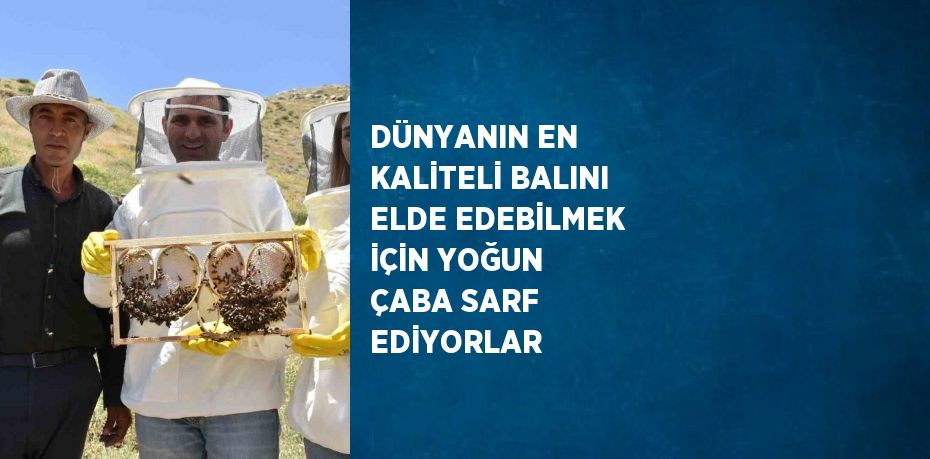 DÜNYANIN EN KALİTELİ BALINI ELDE EDEBİLMEK İÇİN YOĞUN ÇABA SARF EDİYORLAR