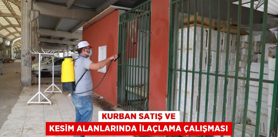 KURBAN SATIŞ VE KESİM ALANLARINDA İLAÇLAMA ÇALIŞMASI