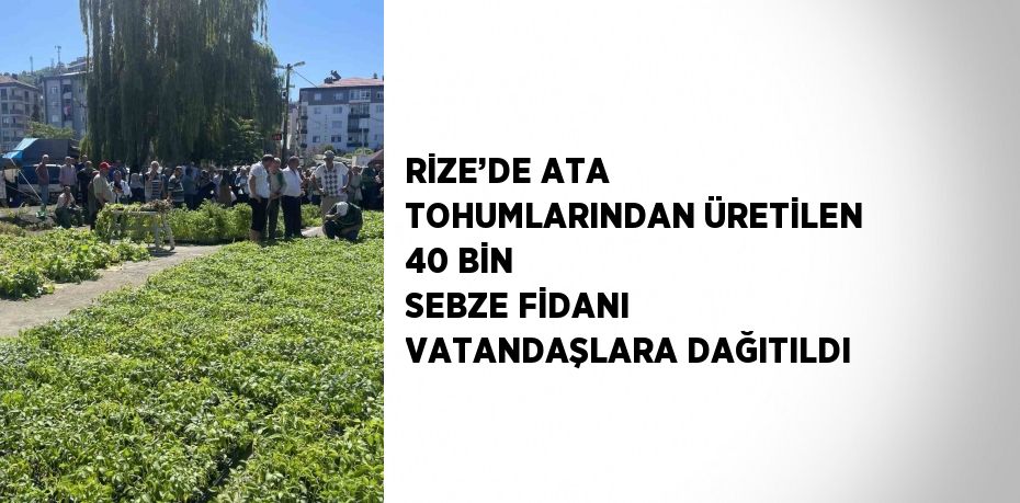 RİZE’DE ATA TOHUMLARINDAN ÜRETİLEN 40 BİN SEBZE FİDANI VATANDAŞLARA DAĞITILDI