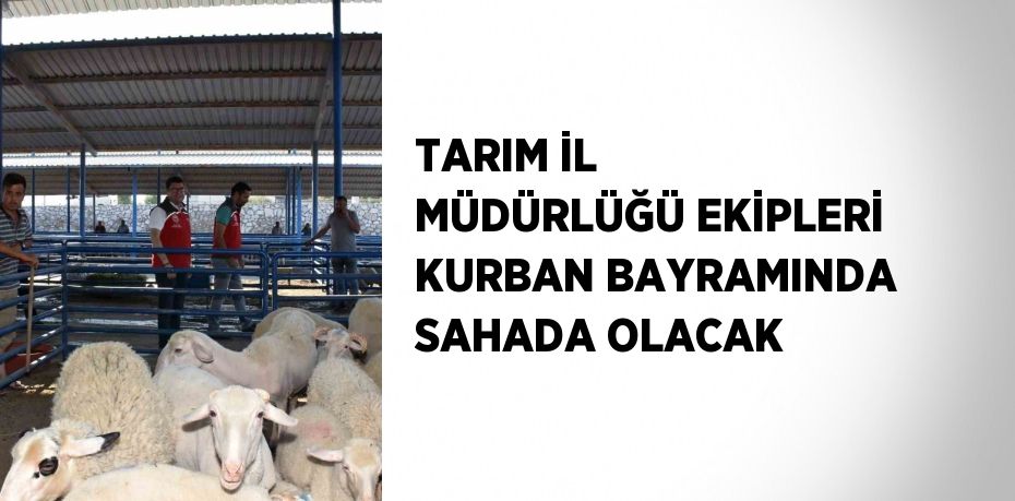 TARIM İL MÜDÜRLÜĞÜ EKİPLERİ KURBAN BAYRAMINDA SAHADA OLACAK