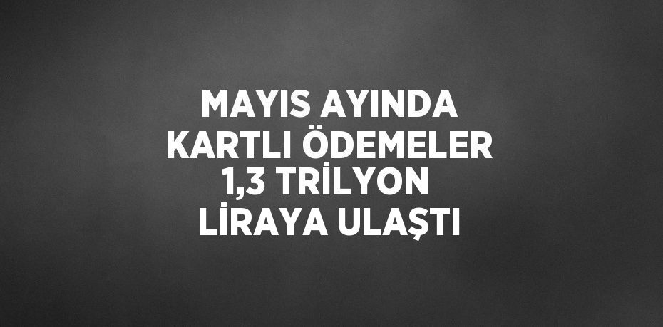 MAYIS AYINDA KARTLI ÖDEMELER 1,3 TRİLYON LİRAYA ULAŞTI