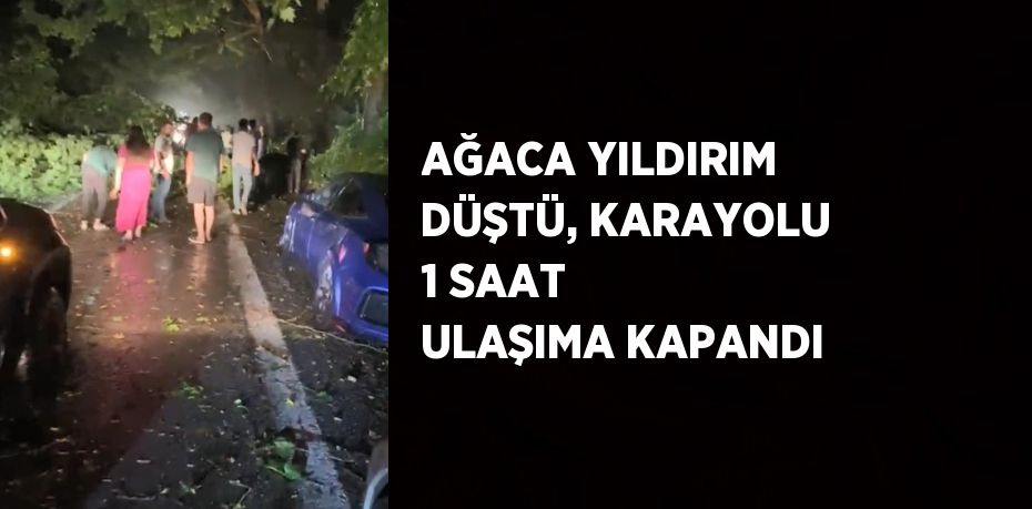 AĞACA YILDIRIM DÜŞTÜ, KARAYOLU 1 SAAT ULAŞIMA KAPANDI